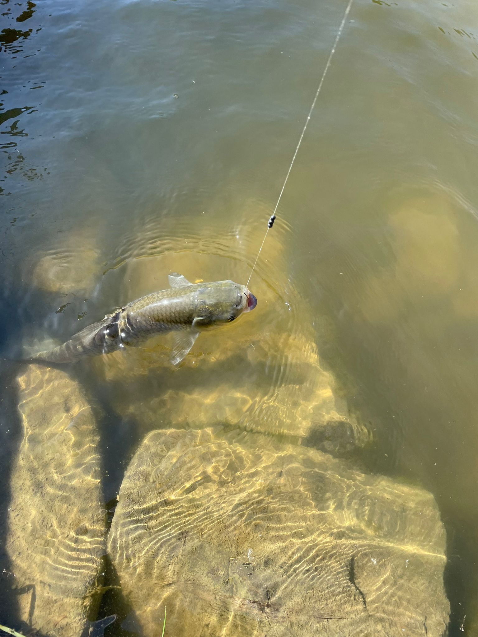 IMG-20240505-WA0042